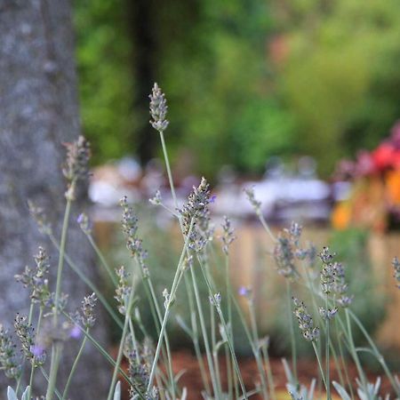 Podere La Miniera Relax & Food 锡耶纳 外观 照片